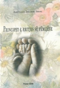 PRINCIPET E RRITJES SË FËMIJËVE
